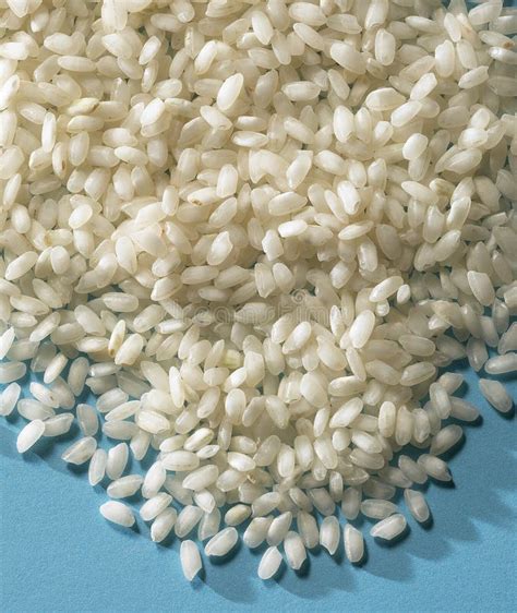 Raw rice stock photo. Image of isolated, diet, rice, oriental - 14350984