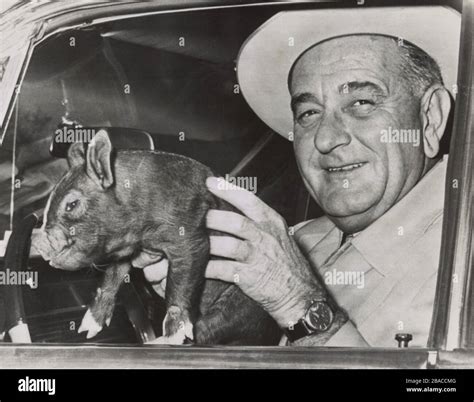 President Lyndon Johnson holds a squirming baby pig for photographers ...