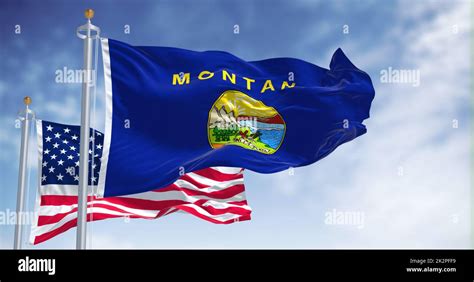 The Montana state flag waving along with the national flag of the ...