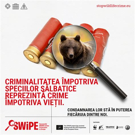 WWF România publishes its national report on wildlife crime - The Successful Wildlife Crime ...