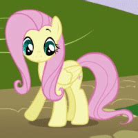 Fluttershy crying | Wiki | Equestria Unofficial Fan Club Amino