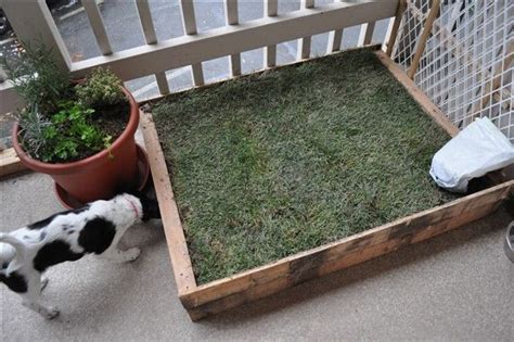 Balcony Dog Potty Ideas: Indoor Toilet Training for Dogs | Diy dog stuff, Porch potty, Dog potty