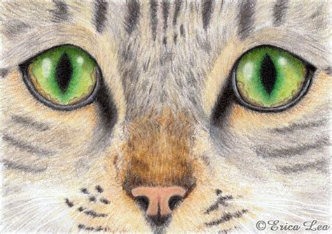 Green Cat Eyes Drawing Original Prismacolor by NatureVisions, $25.00 | Cat eyes drawing, Cat ...