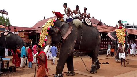 Elephant in Kerala temple festivals - YouTube