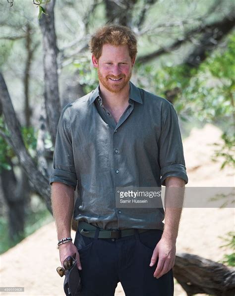 Prince Harry looks on as he visits the Southern African Wildlife ...