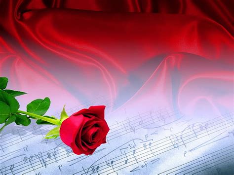 Love song, beauty, red, rose, music, HD wallpaper | Peakpx