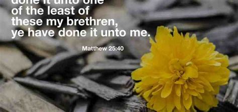 Matthew 25:40 - Latter-day Saint Scripture of the Day