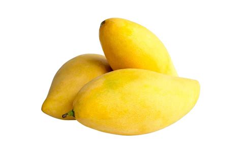 Nam Dok Mai mango isolated on white background. Ripe yellow mango is popular fruit in Thailand ...