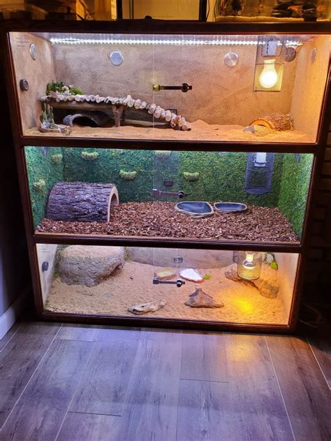 Custom tank | Reptile room, Lizard tank, Lizard cage