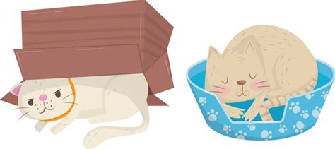 Cat Under Box Vector Images (30)