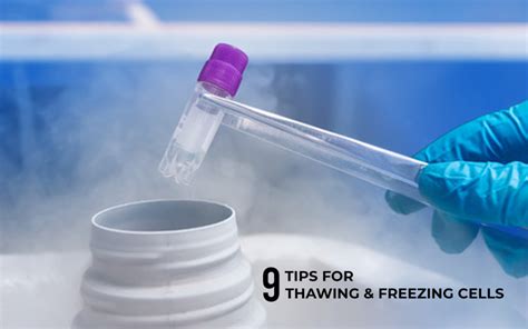 9 Tips for Thawing and Freezing Cells - Kosheeka