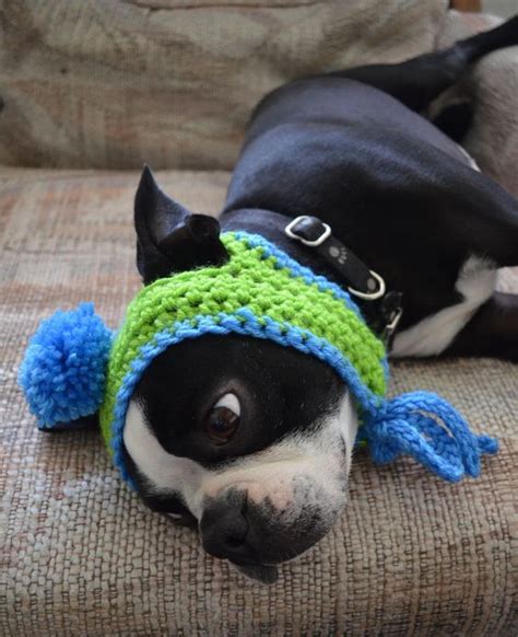 Free Crochet Pattern For Dog Hat With Ear Holes Very Easy Pet Hat Keep ...