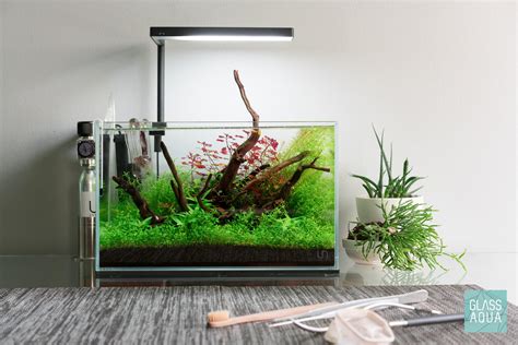 5 Gallon Nano Tank Updates : r/PlantedTank