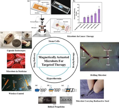 Potential magnetically actuated microrobots in various medical... | Download Scientific Diagram