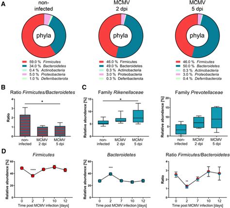 Acute MCMV infection alters the microbial composition. BALB/c mice were ...