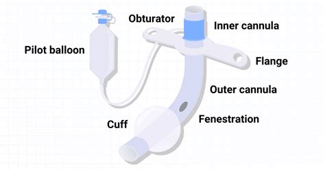 Endotracheal Tube Parts Labeled