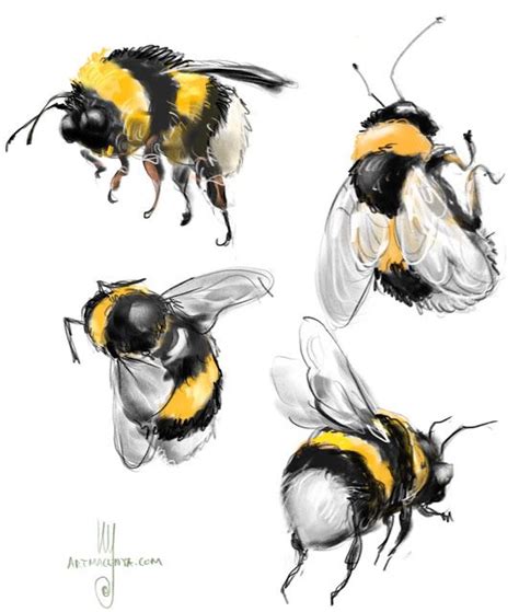 Everyday Sketches: Bumble bee | Bee drawing, Bee painting, Bee art