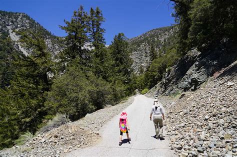 San Antonio Falls - Tall Snowmelt Waterfall beneath Mt Baldy