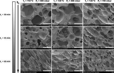 Water-in-PDMS Emulsion Templating of Highly Interconnected Porous Architectures for 3D Cell ...