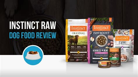 Instinct Raw Dog Food Review - Full Ingredients Analysis 2021!