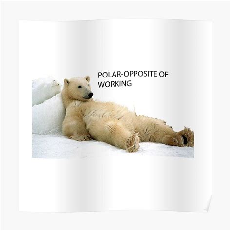 "Polar bear meme" Poster by carladesigns | Redbubble