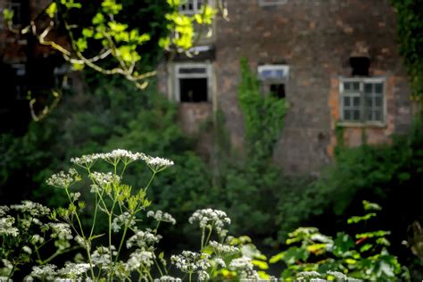 Lincolnshire Cam: Louth Canal & Riverhead Walk.