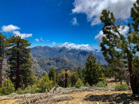 Angeles National Forest: Hiking Crystal Lake to Hawkins Ridge - ALICE'S ADVENTURES ON EARTH