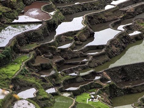 Cordillera rice terraces back in UNESCO heritage list │ GMA News Online