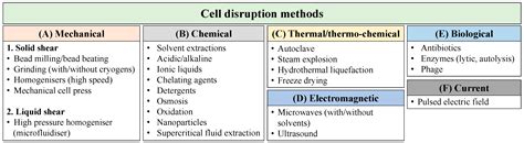 Biology | Free Full-Text | Microwave-Assisted Extraction for Microalgae ...