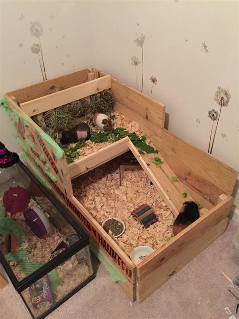 Indoor Guinea Pig Cage. Custom built for the boys!! Cage is 4'x2' with ...