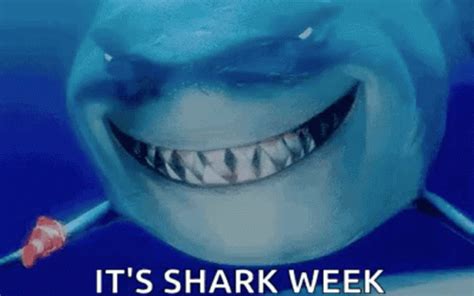 Shark Week Period Meme