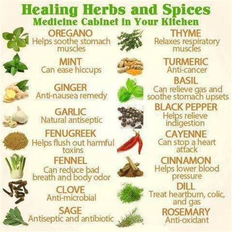 Health Benefits of Herbs and Spices