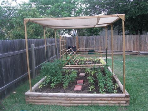 Beginner Gardening: SHADE CLOTH, 1 by RATFOOD | Shade cloth garden ...