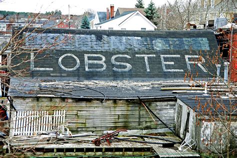 Old Lobster Shack Photograph by Nancy DiGiovanni - Pixels