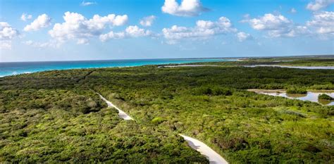 Weather in Cozumel: What to Expect in Every Season | Cozumel Tourbase