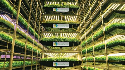 How vertical farming is taking off | Analysis & Features | The Grocer