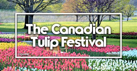 Tulip Festival Ottawa 2024 - Phebe Marrilee