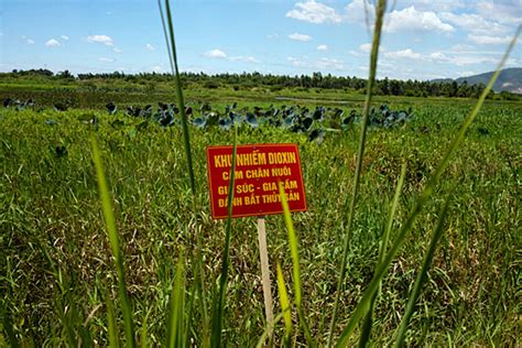 US Agent Orange cleanup in Vietnam indicative of stronger ties ...