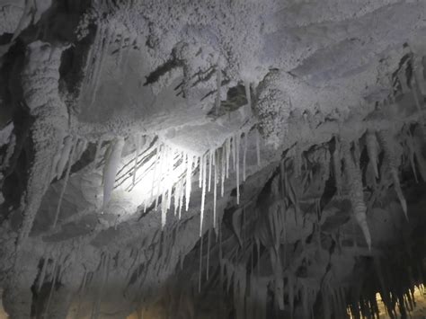 photographing New Zealand: Ruakuri Cave