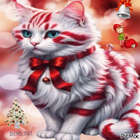 ADORABLE CHRISTMAS KITTY - Free animated GIF - PicMix