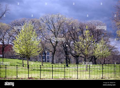 Crotona Park, The Bronx, NY USA Stock Photo - Alamy