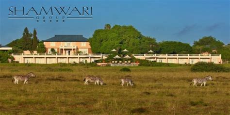 Shamwari Game Reserve Luxury Safari Lodges in South Africa - Cape Town ...