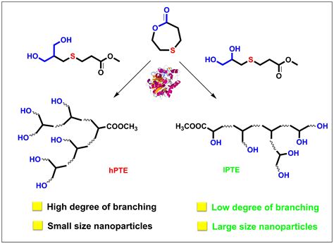 Molecules | Free Full-Text | Novozym 435-Catalyzed Synthesis of Well ...