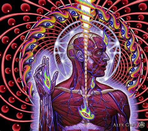 Alex Grey Paintings | Alex gray art, Visionary art, Alex grey