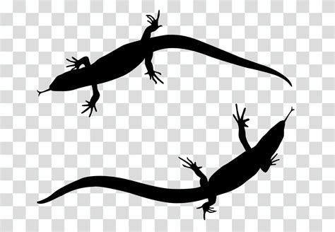 Sticker on car of reptile Silhouette of lizard. Vector Illustration ...