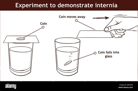 Vector - Inertia example our daily lives infographic diagram experiment to demonstrate inertia ...