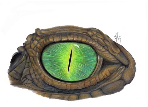 Crocodile eye by Wazche on DeviantArt