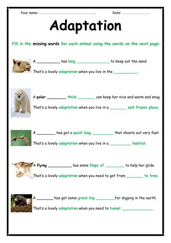 Plant Adaptation Worksheet 4rd Grade