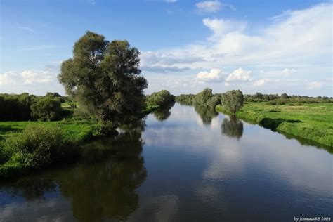 Warta | River Warta near the town of Warta, Poland | JoannaRB2009 | Flickr