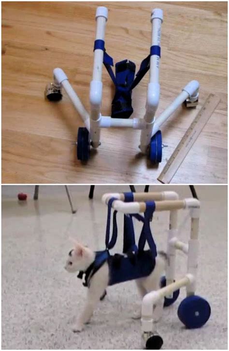 10 DIY Cat Wheelchair Ideas For Disabled Cats